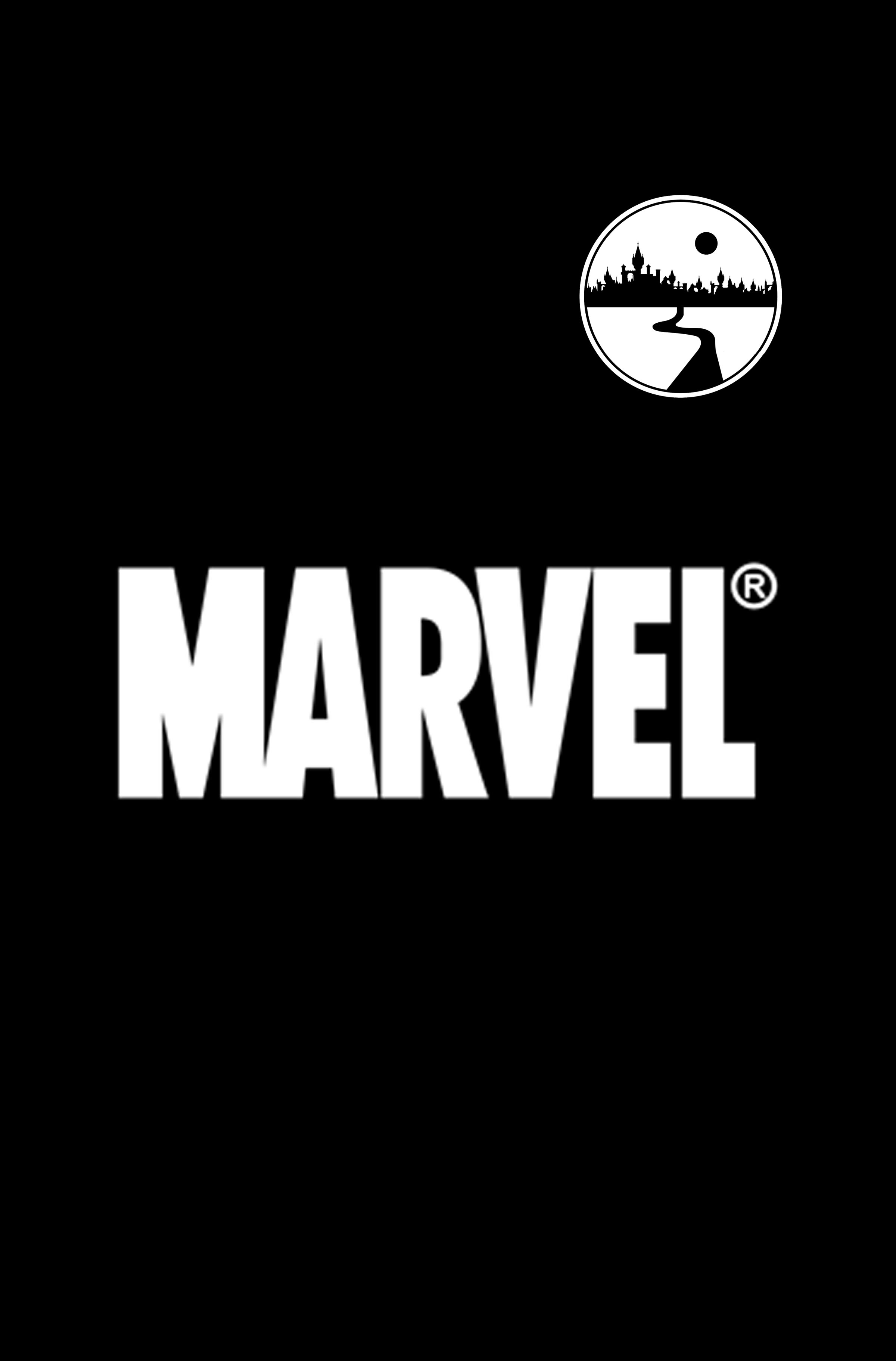 Marvel Mystery Bag